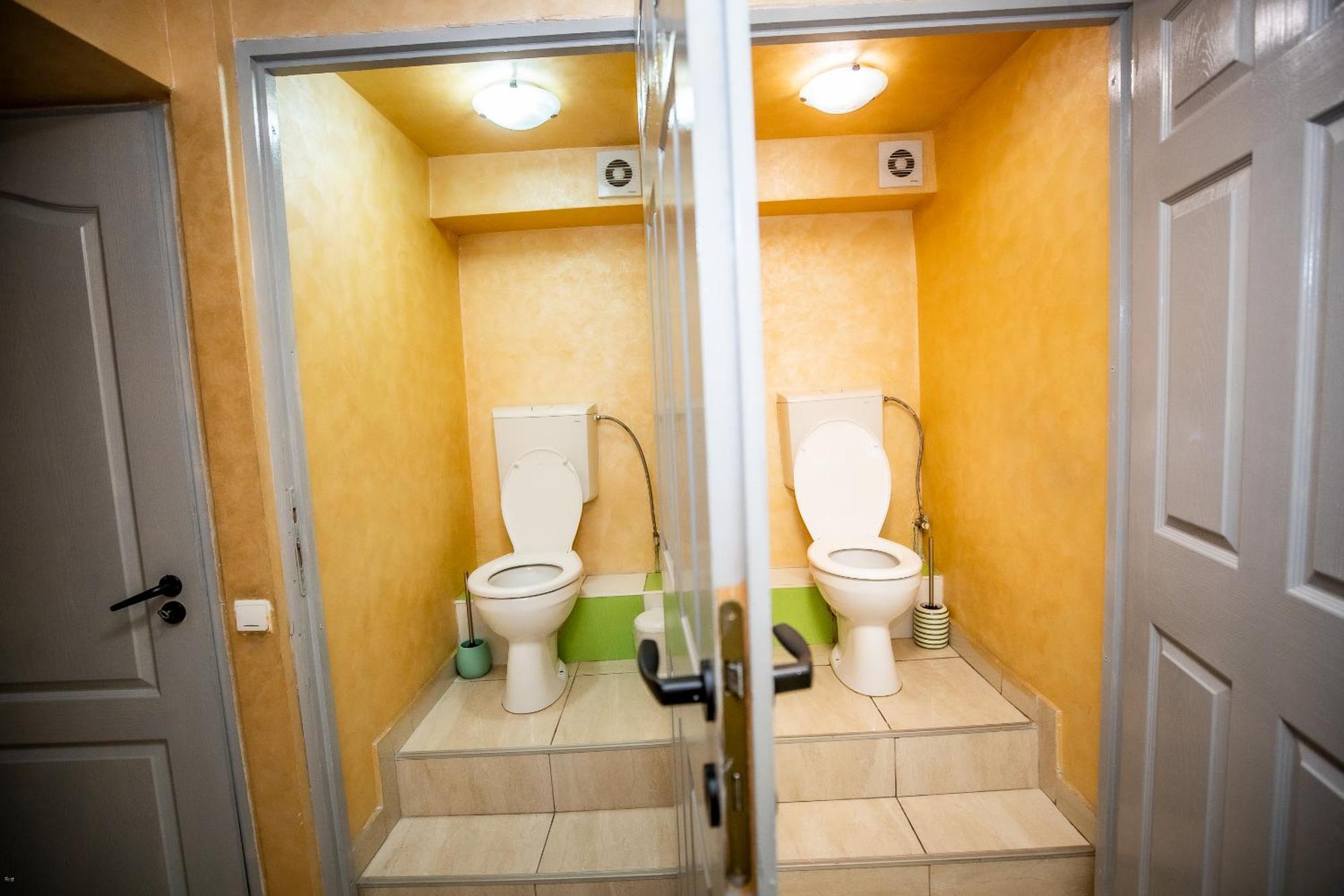 Nelana Hostel Cluj Napoca Bagian luar foto